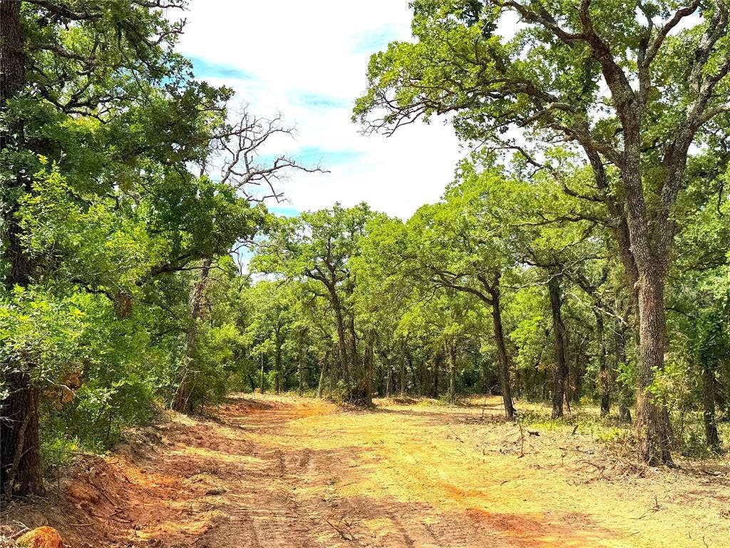 TBD B Turpin Lake Road, Poolville, TX 76487