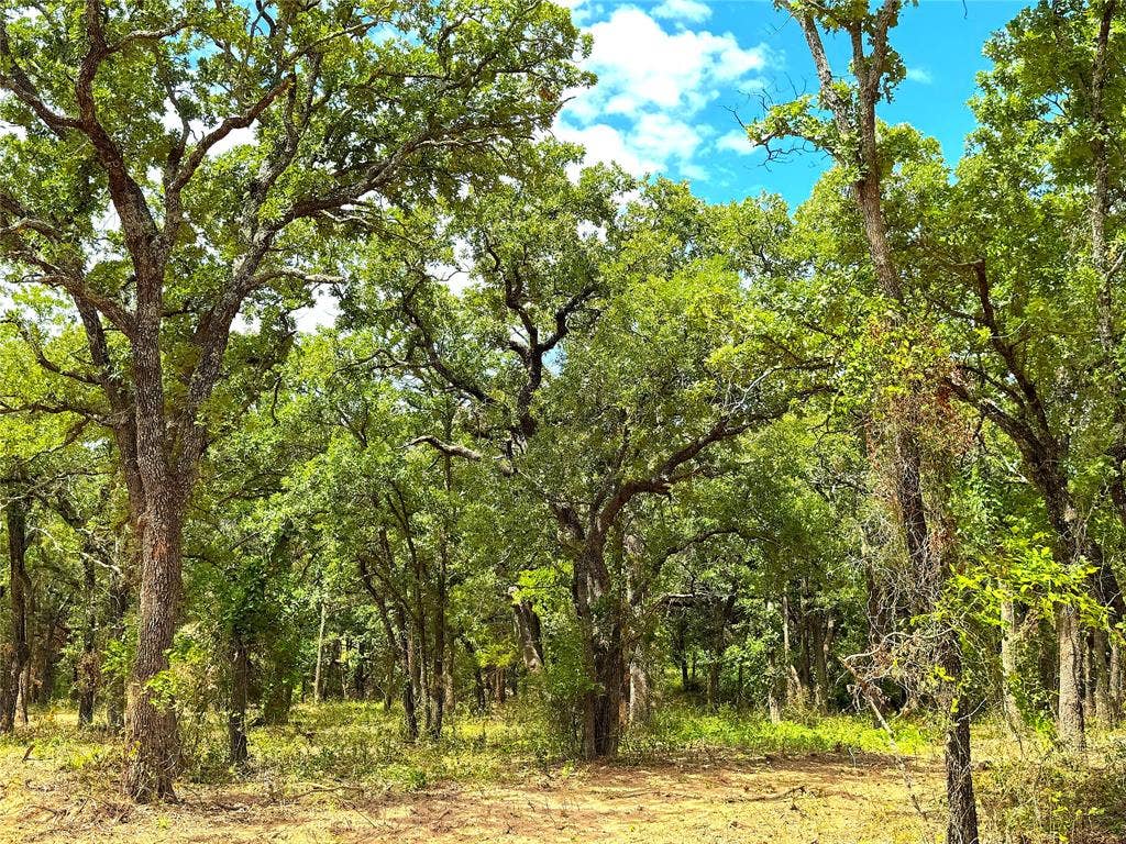 TBD B Turpin Lake Road, Poolville, TX 76487