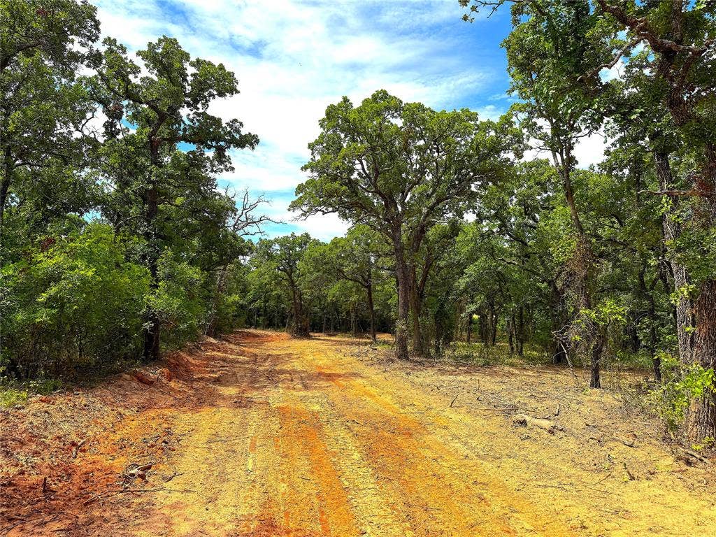 TBD B Turpin Lake Road, Poolville, TX 76487