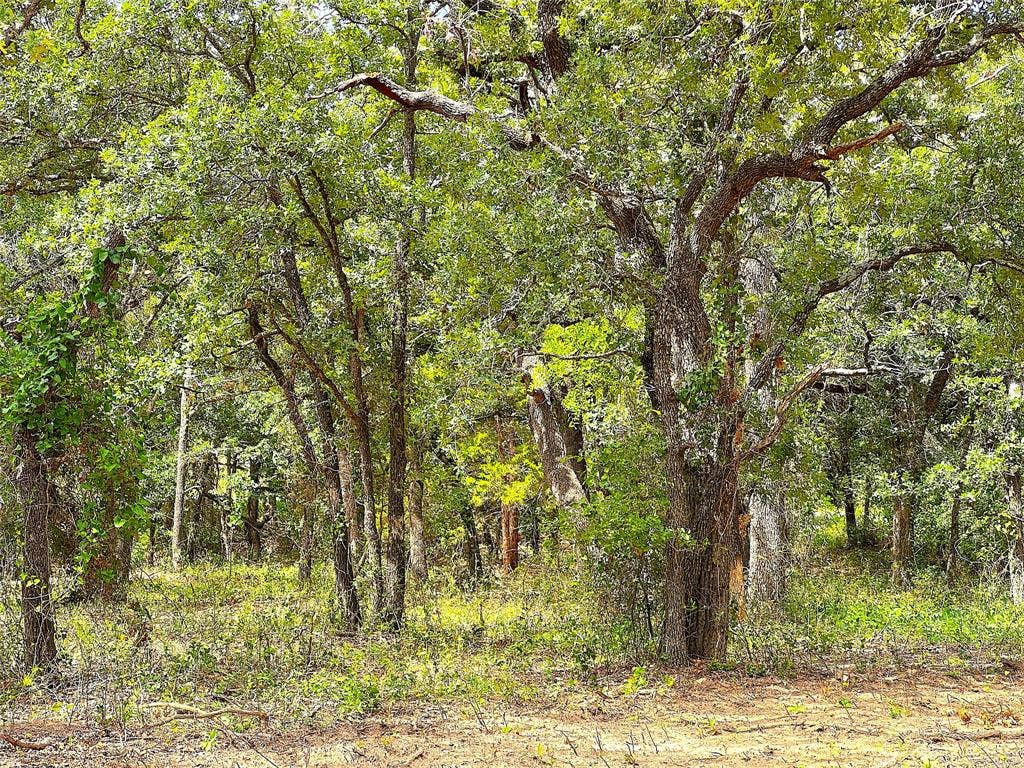 TBD B Turpin Lake Road, Poolville, TX 76487