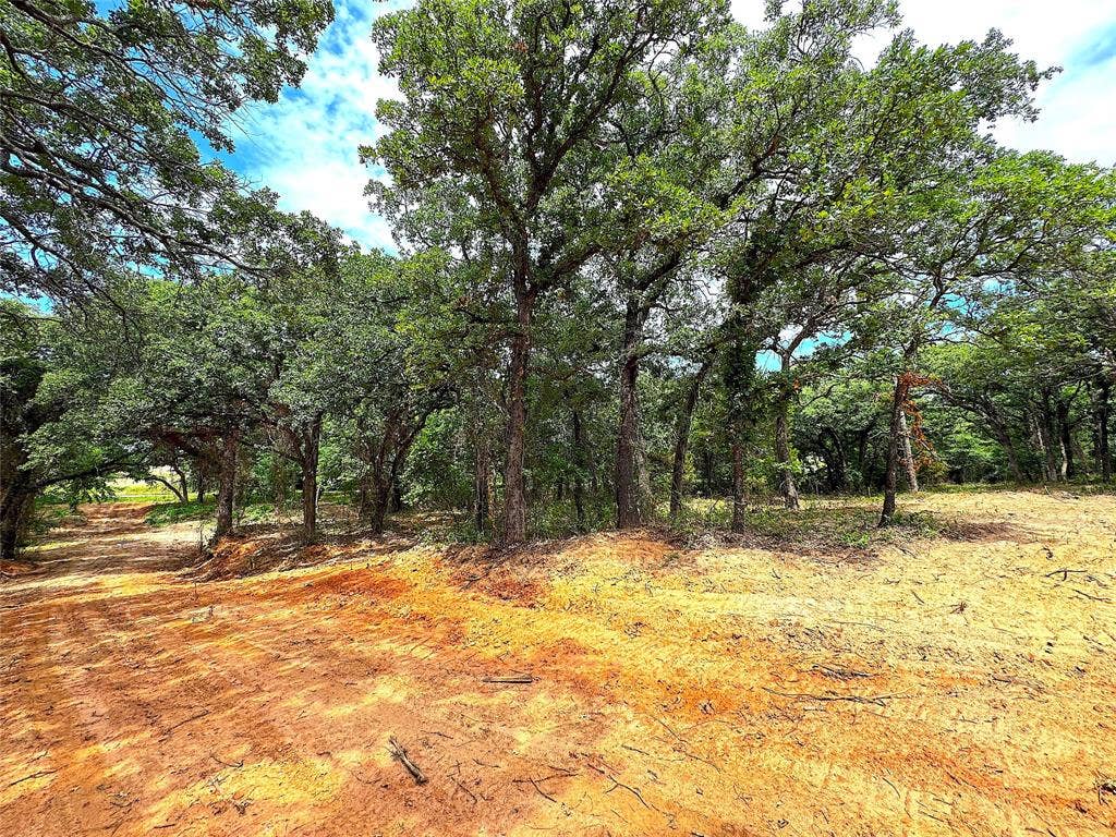 TBD B Turpin Lake Road, Poolville, TX 76487