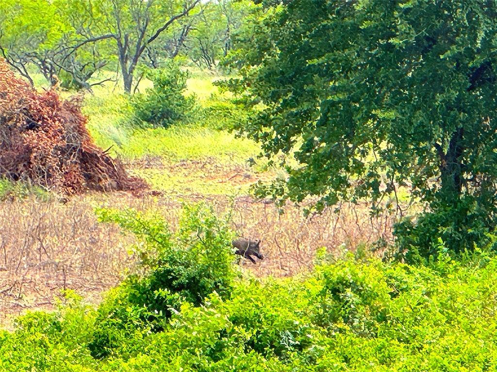 TBD C Turpin Lake Road, Poolville, TX 76487