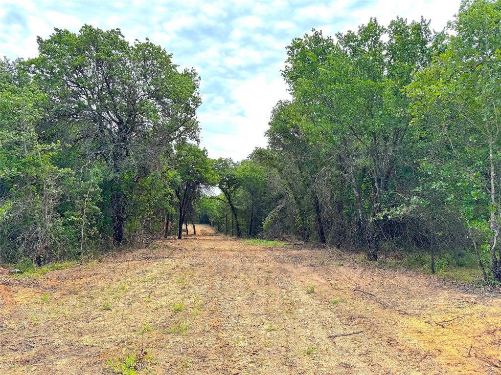 TBD C Turpin Lake Road, Poolville, TX 76487