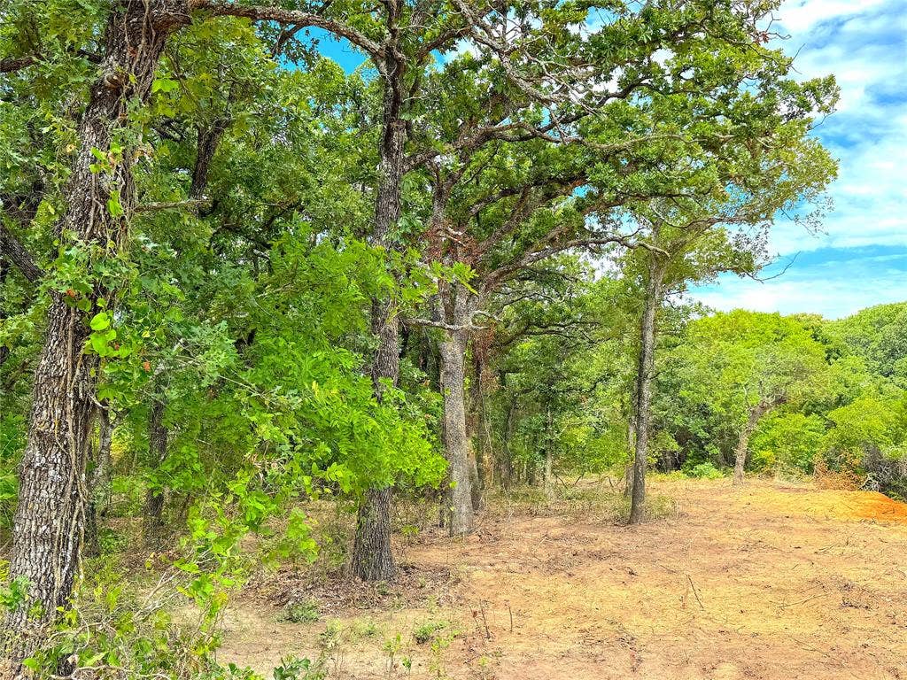 TBD C Turpin Lake Road, Poolville, TX 76487