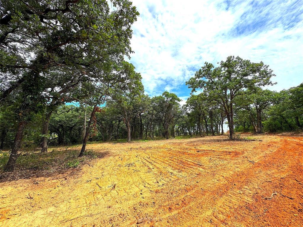 TBD C Turpin Lake Road, Poolville, TX 76487
