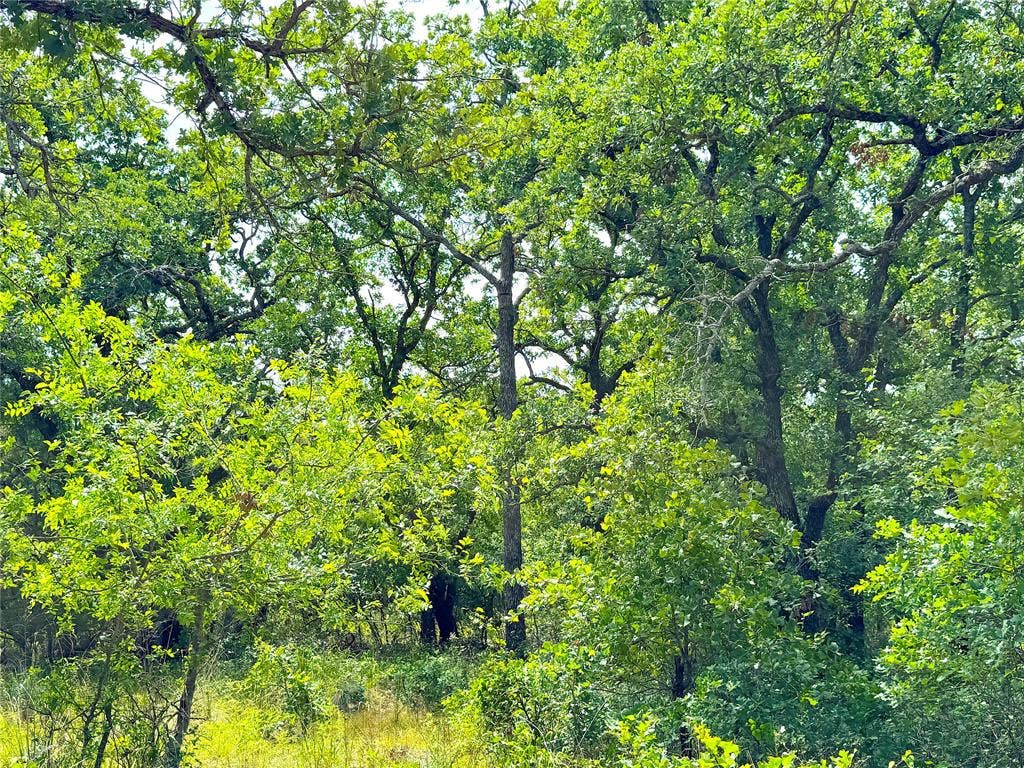 TBD C Turpin Lake Road, Poolville, TX 76487