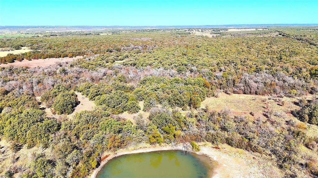 TBD B Two Bush Road, Perrin, TX 76486