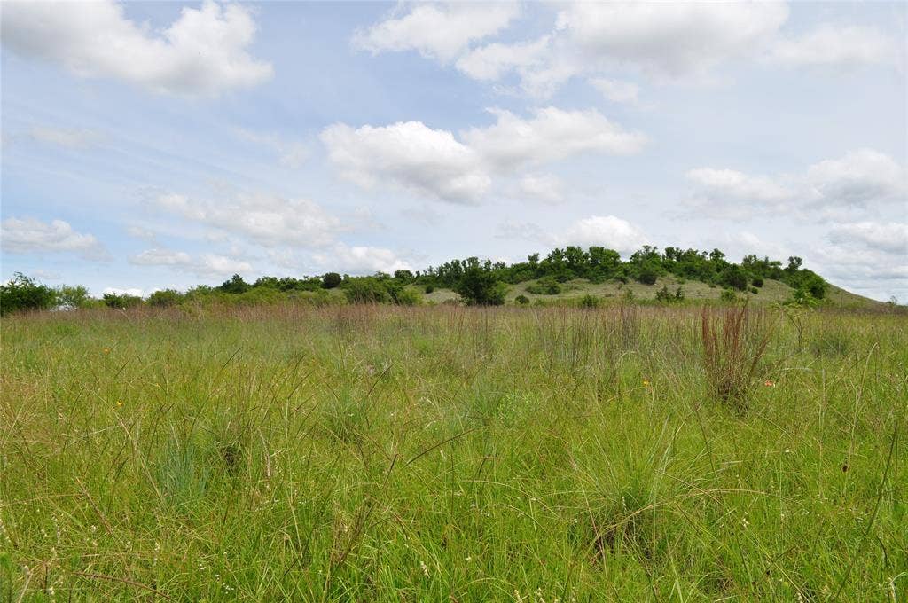 TBD B Two Bush Road, Perrin, TX 76486