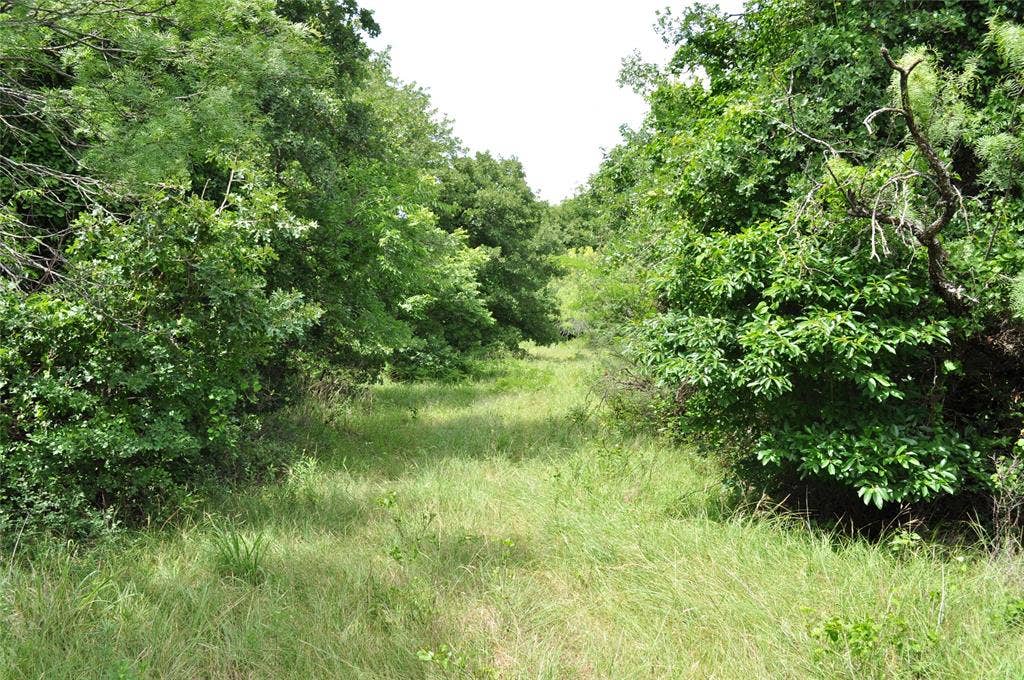 TBD B Two Bush Road, Perrin, TX 76486