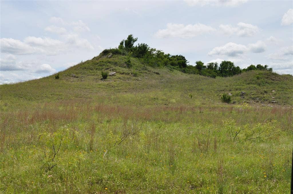 TBD B Two Bush Road, Perrin, TX 76486
