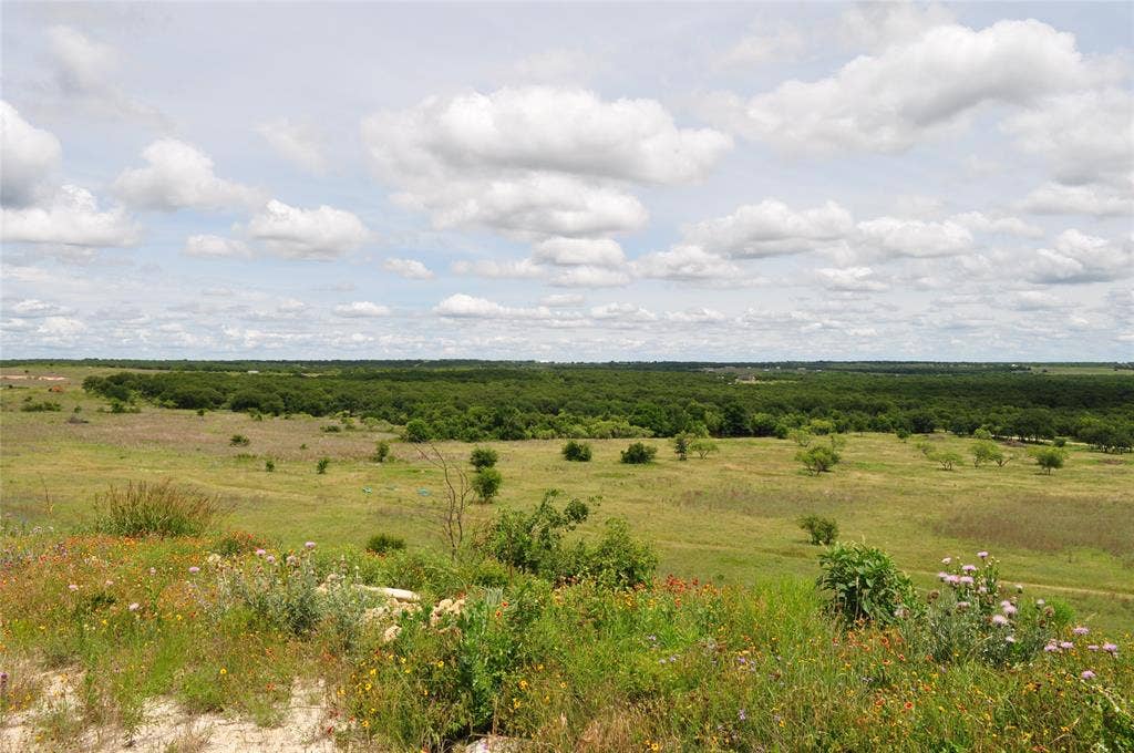 TBD B Two Bush Road, Perrin, TX 76486
