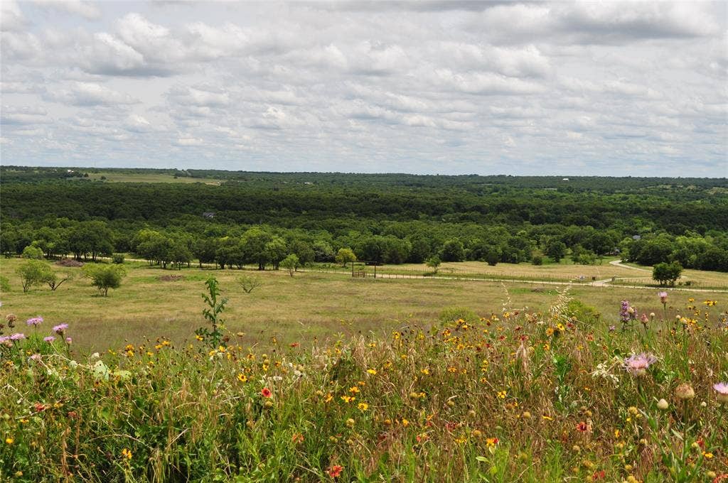 TBD B Two Bush Road, Perrin, TX 76486