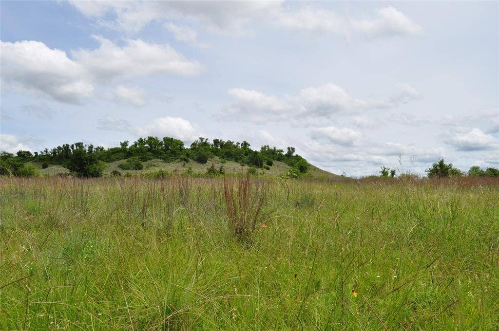 TBD B Two Bush Road, Perrin, TX 76486