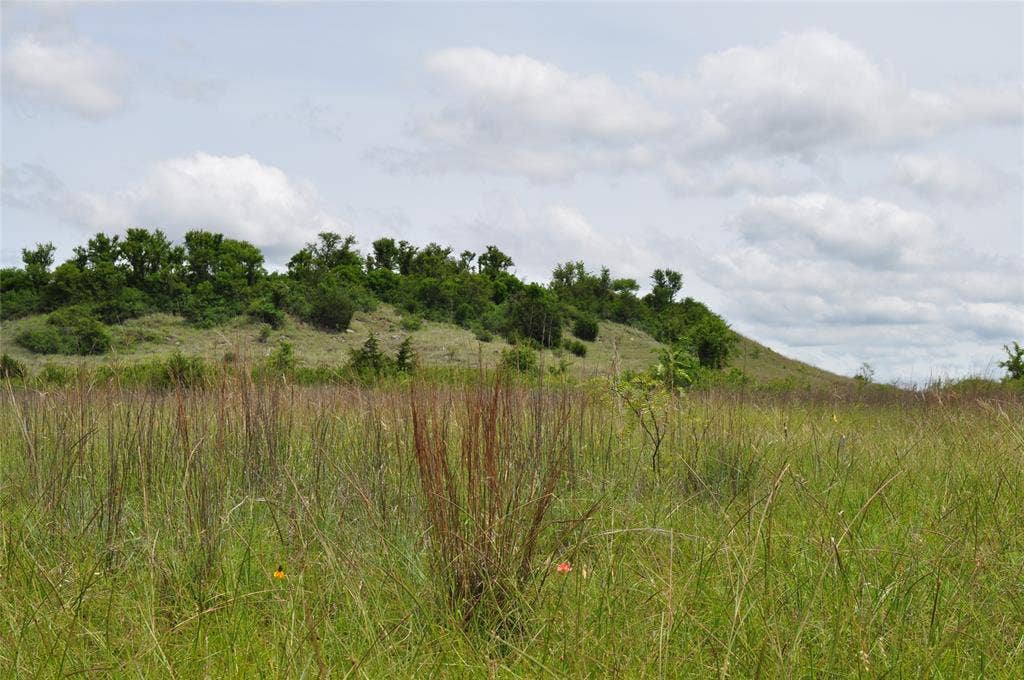 TBD B Two Bush Road, Perrin, TX 76486