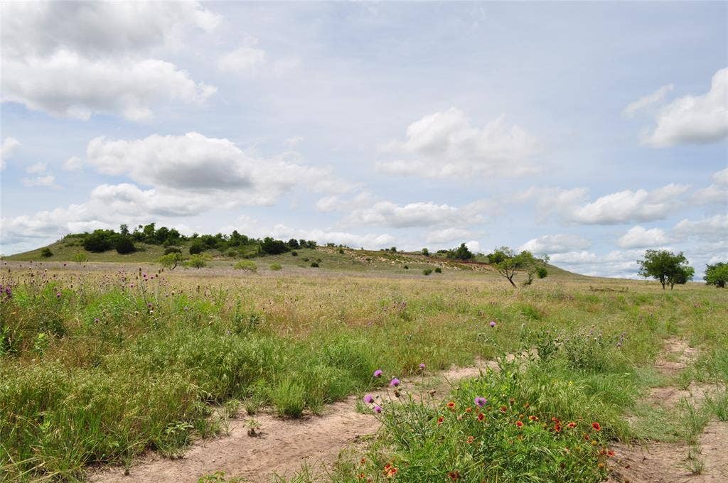 TBD B Two Bush Road, Perrin, TX 76486