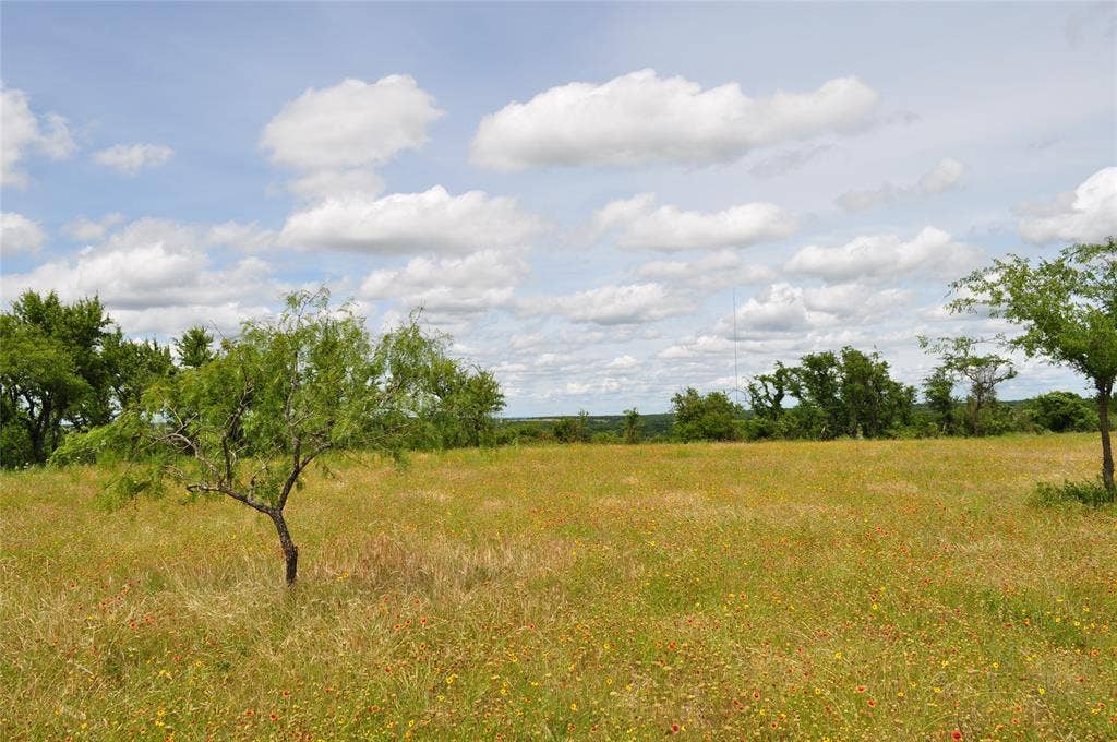 TBD B Two Bush Road, Perrin, TX 76486
