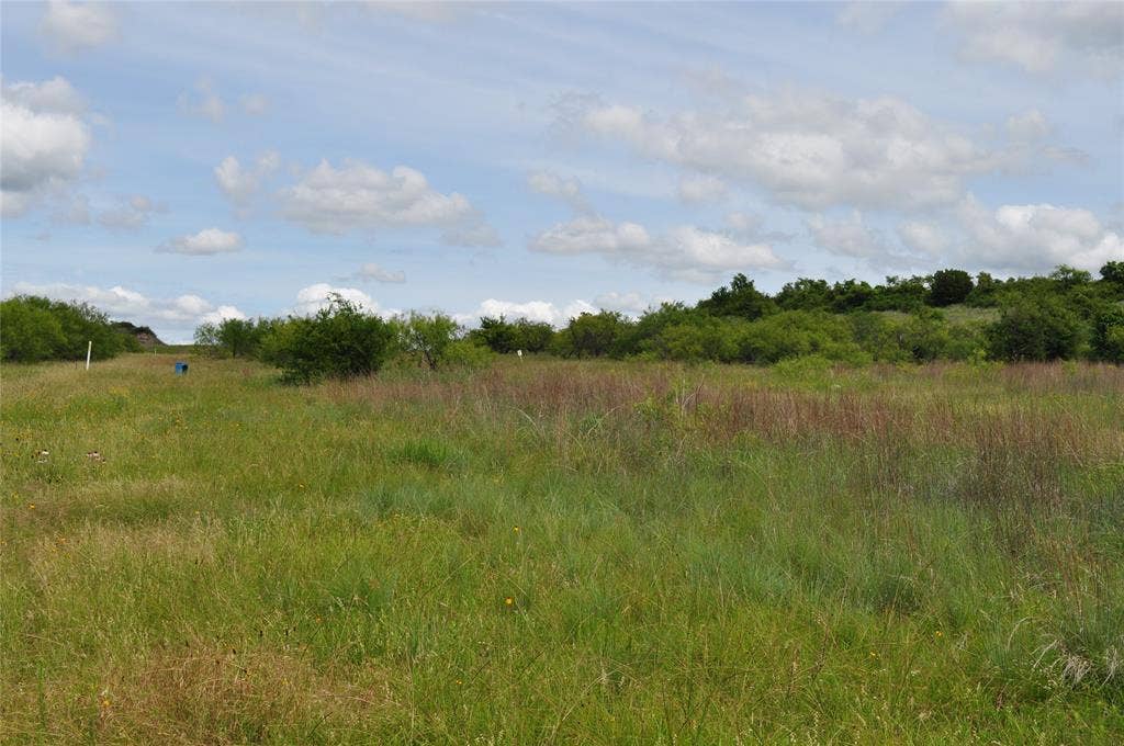 TBD C Two Bush Road, Perrin, TX 76486