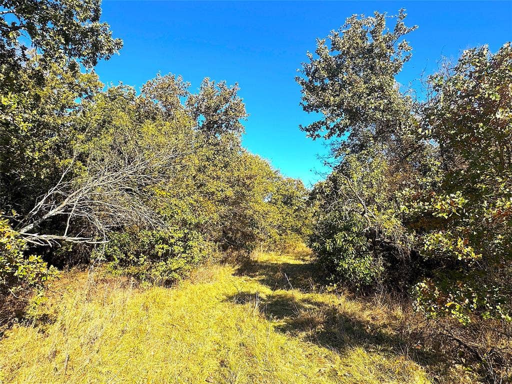 TBD C Two Bush Road, Perrin, TX 76486