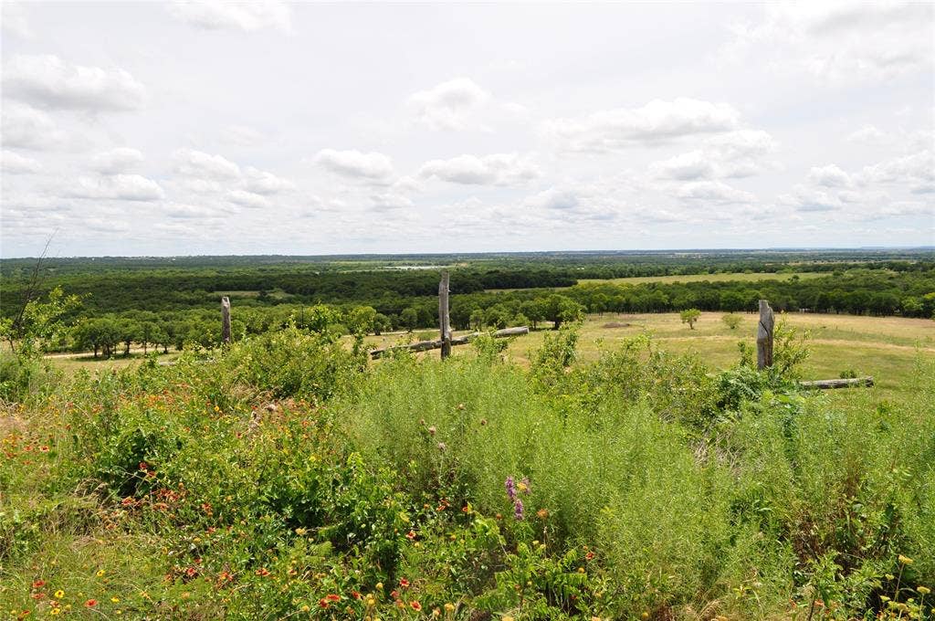 TBD C Two Bush Road, Perrin, TX 76486