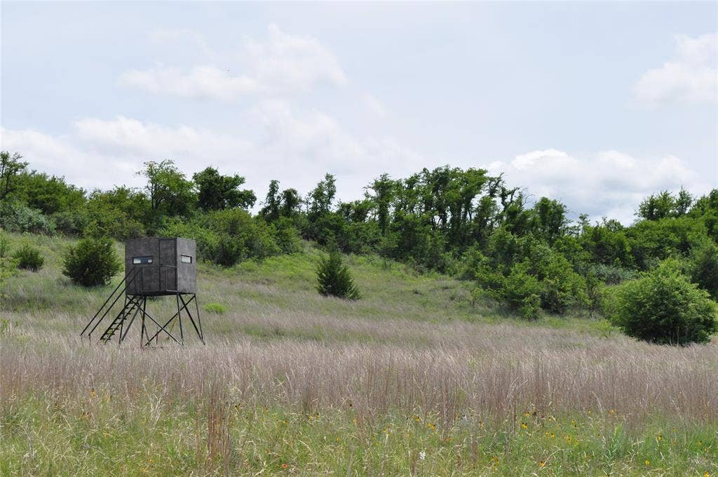 TBD C Two Bush Road, Perrin, TX 76486