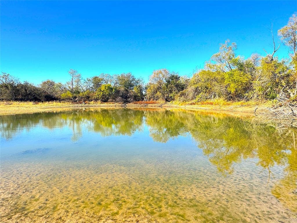 TBD C Two Bush Road, Perrin, TX 76486