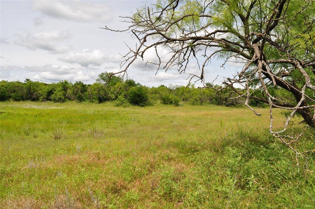 TBD C Two Bush Road, Perrin, TX 76486