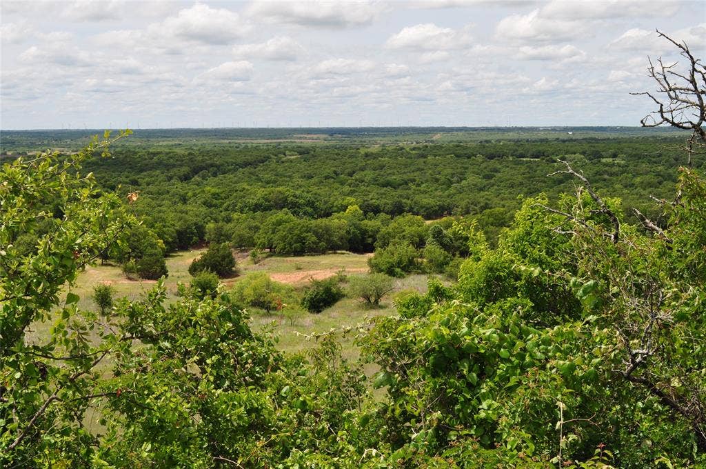TBD C Two Bush Road, Perrin, TX 76486