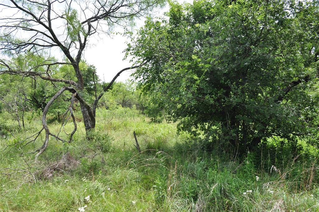 TBD C Two Bush Road, Perrin, TX 76486