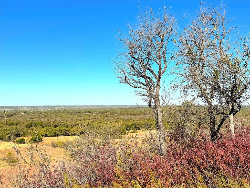 TBD C Two Bush Road, Perrin, TX 76486