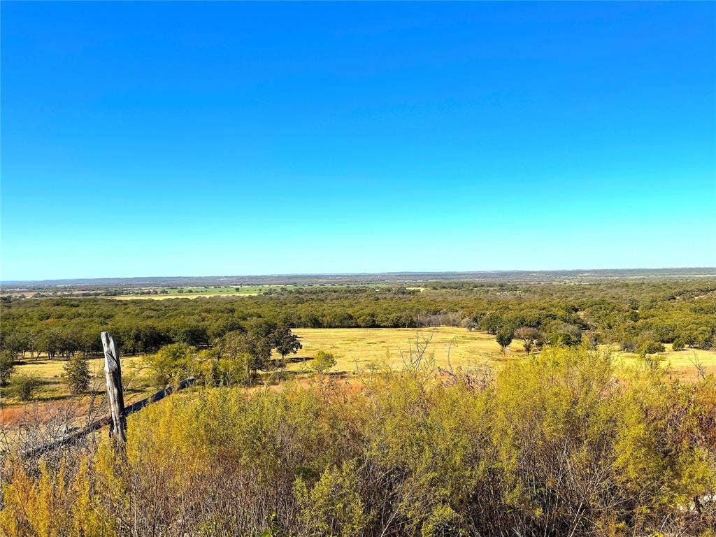 TBD C Two Bush Road, Perrin, TX 76486