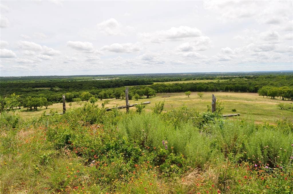 TBD C Two Bush Road, Perrin, TX 76486