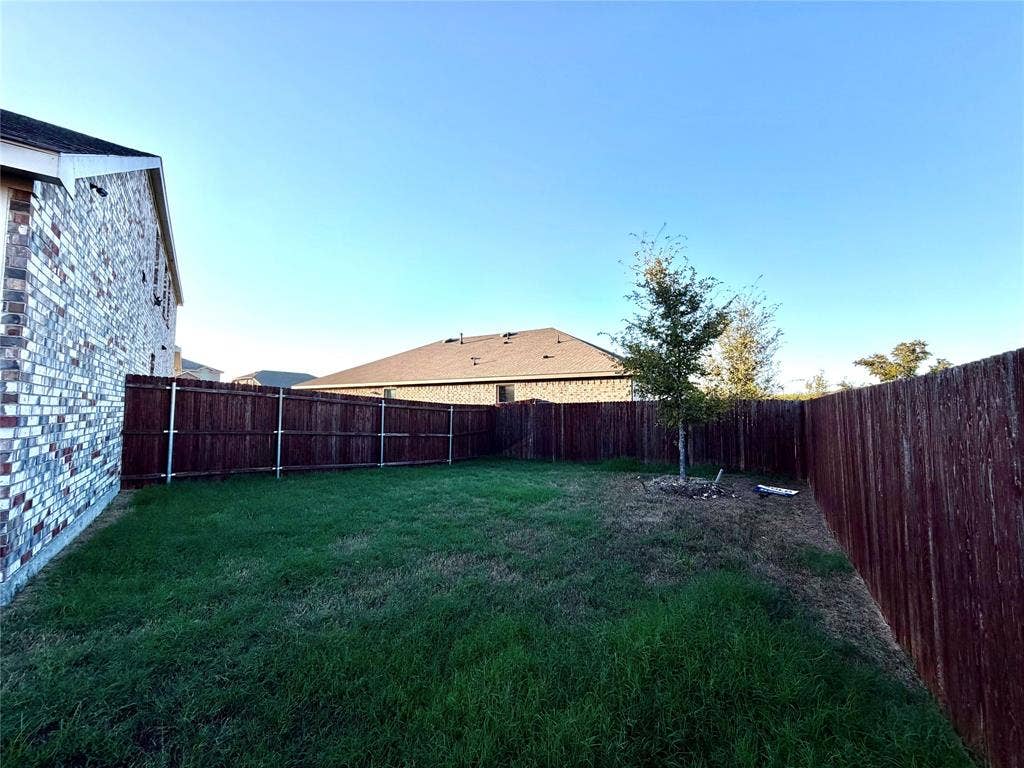 Expansive backyard with a manicured lawn, established privacy fencing, and a young deciduous tree