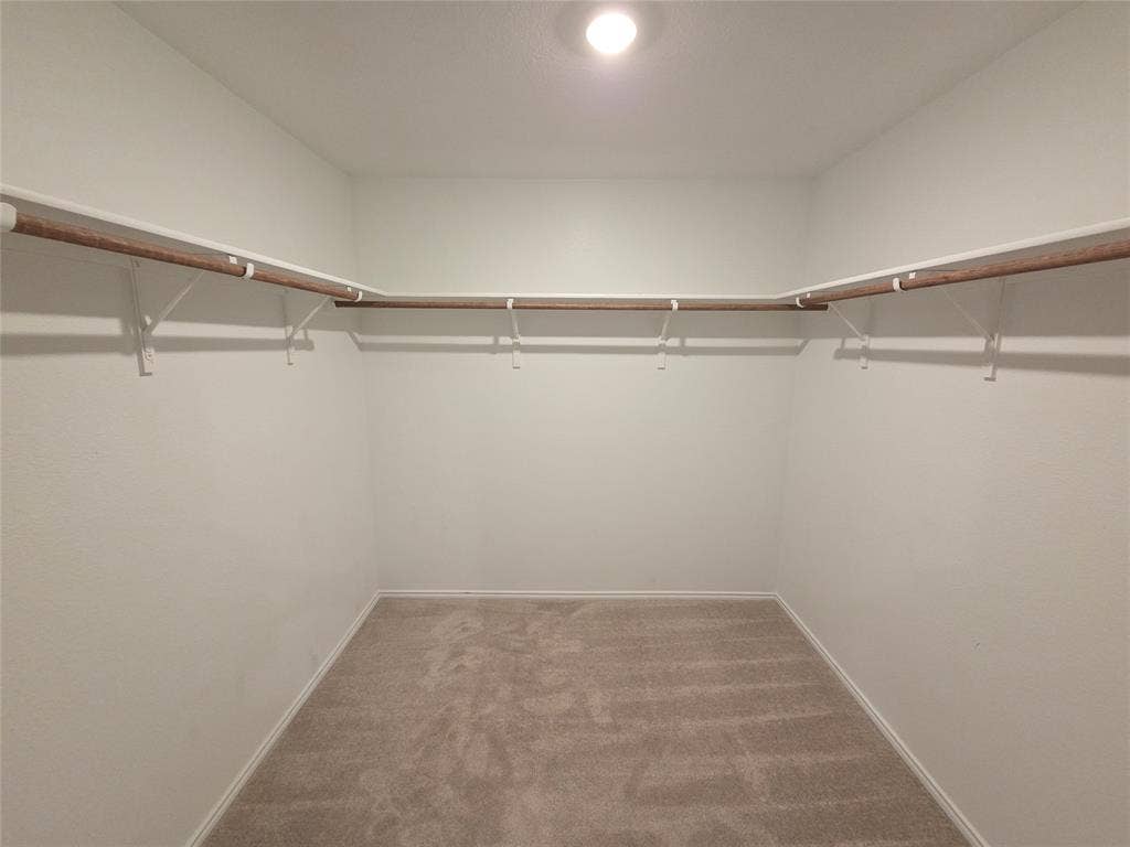 Walk-in closet with overhead lighting, carpet flooring, and a wrap-around shelving and hanging rod system