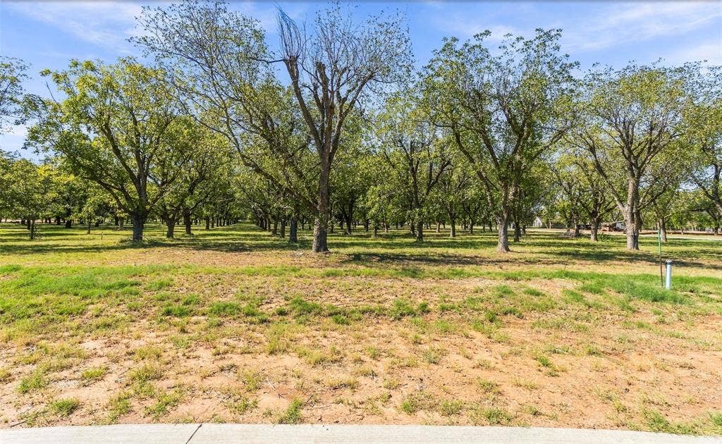 2513 Buckskin Drive, Granbury, TX 76049 2513 Buckskin Drive, Granbury, TX 76049