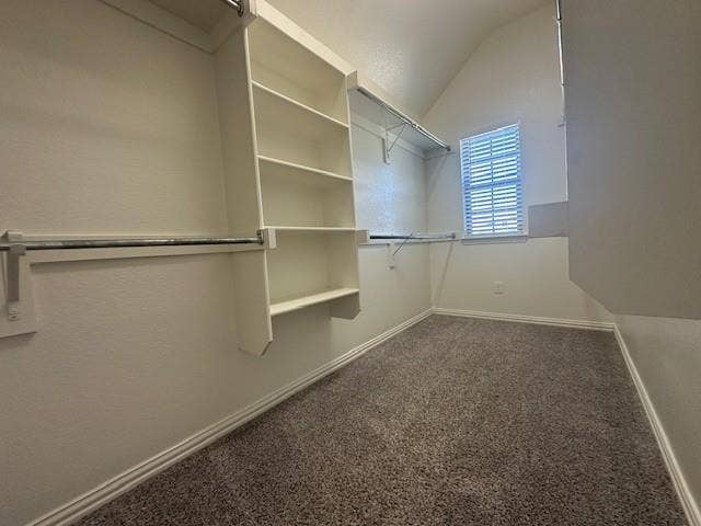901 Brookville Court, Plano, TX 75074 Integrated shelving, hanging rods, textured walls, window with blinds, and carpeting