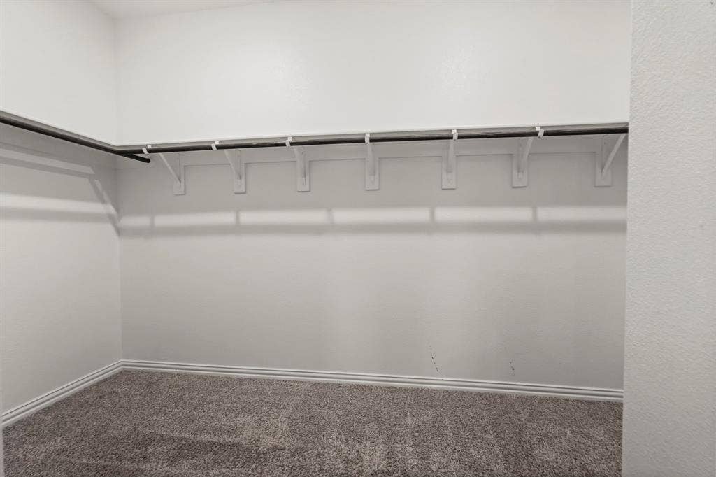 Carpeted closet with wall-mounted clothing rods
