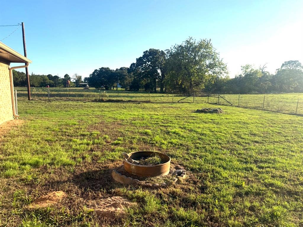 back yard