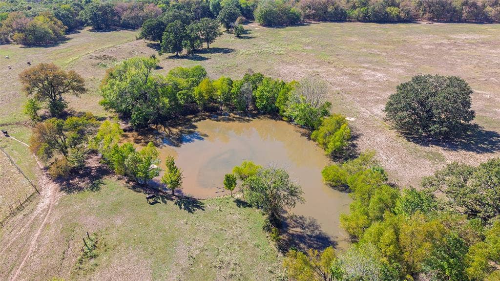 Nice pond just off the house, good for livestock too.