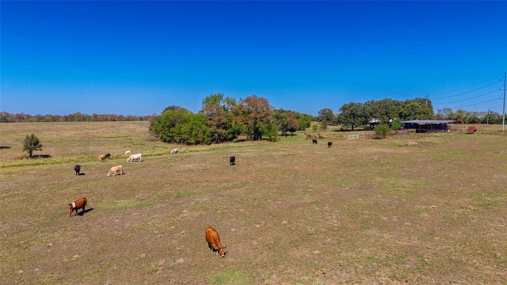 currently running cattle on the property