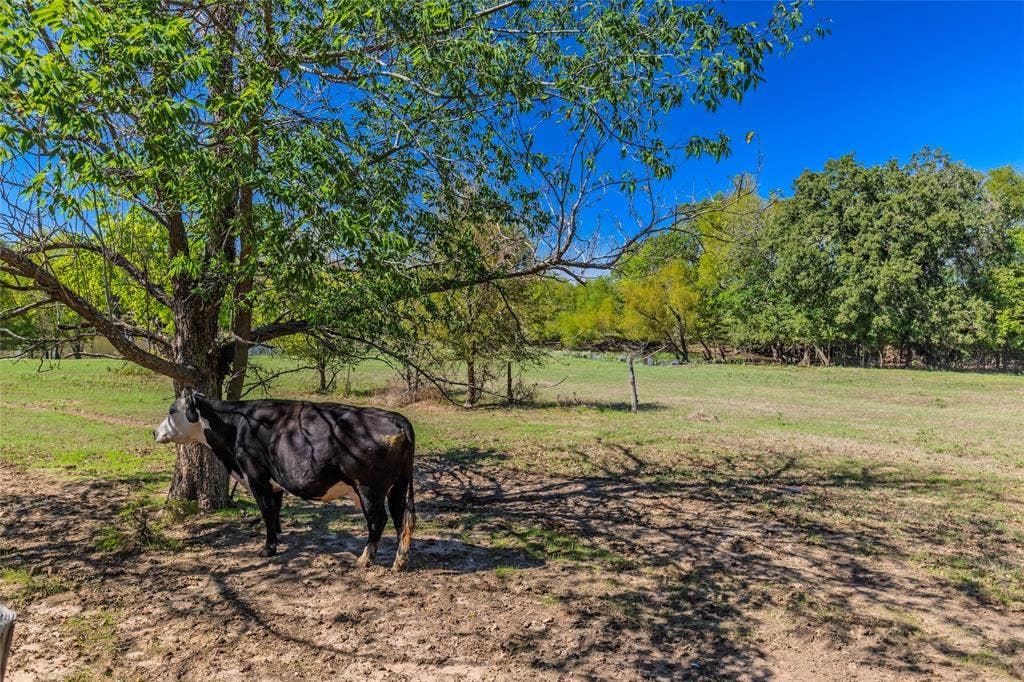 1586 County Road 4133, Cumby, TX 75433