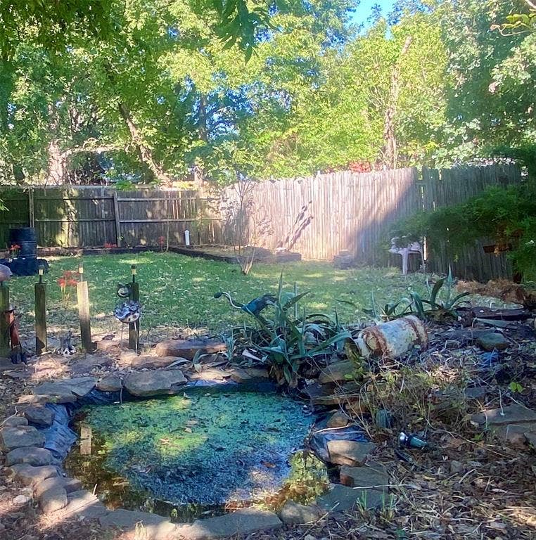 Goldfish pond