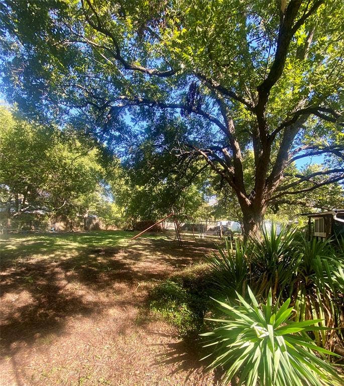 Expansive yard featuring mature trees, diverse ground cover, and natural landscaping