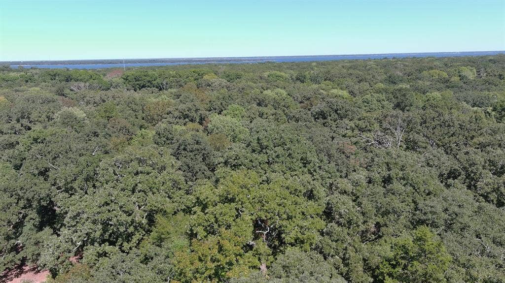 11015 Lakeview Drive NE, Quinlan, TX 75474 11015 Lakeview Drive NE, Quinlan, TX 75474