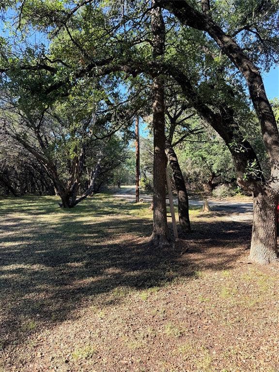 177 Highline Road, Valley Mills, TX 76689 Mature tree canopy providing natural shade
