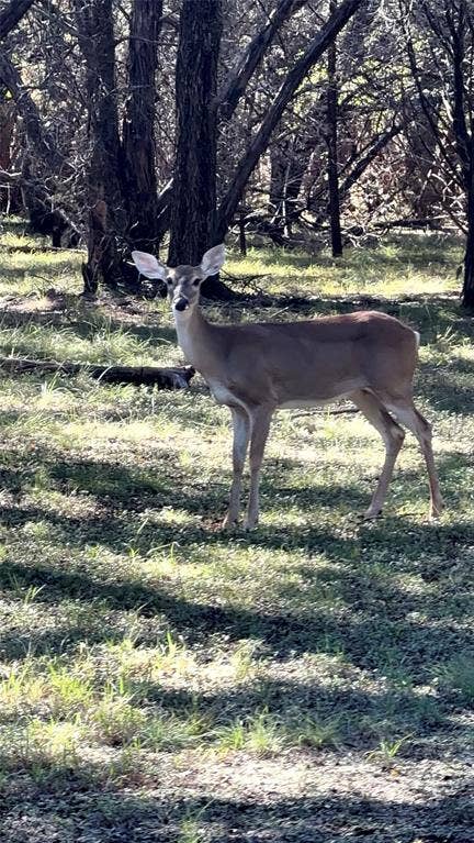 177 Highline Road, Valley Mills, TX 76689 Additional content
