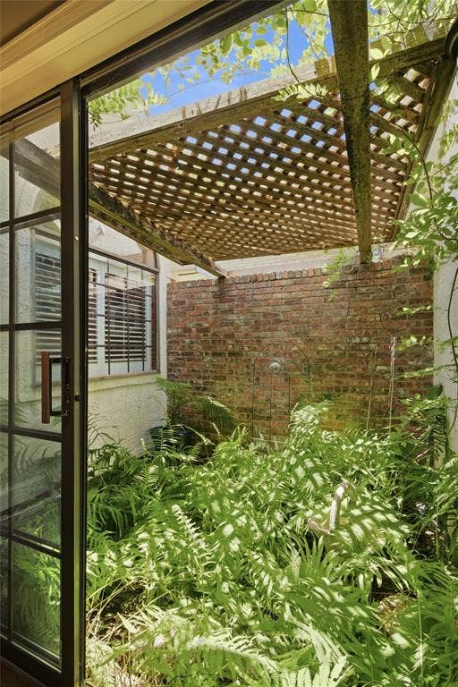 Courtyard with gorgeous ferns!
