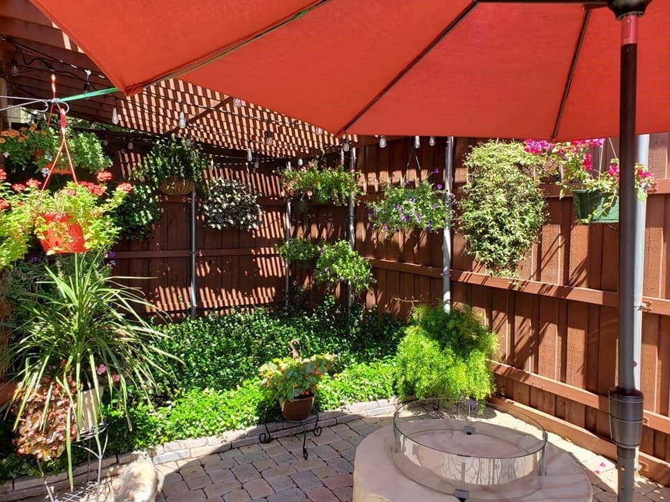 2800 Keller Springs Road, #8C, Carrollton, TX 75006 Enclosed Patio shown when accessorized with plants.