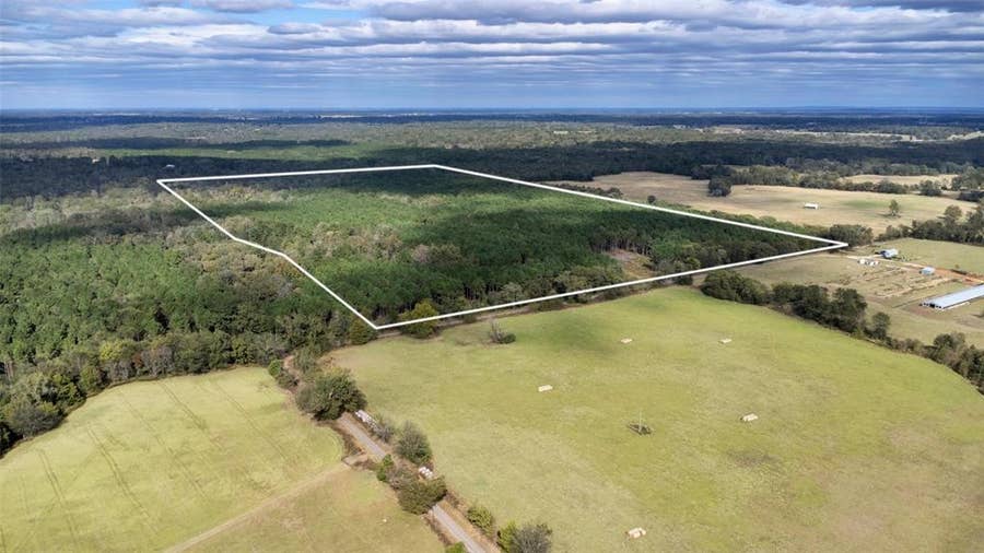 Property photo for TBD Wolf Road, Pittsburg, TX