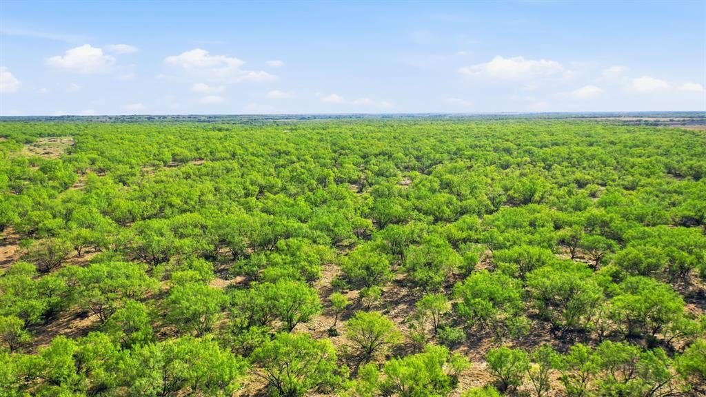 3983 N 183 Highway, Woodson, TX 76491