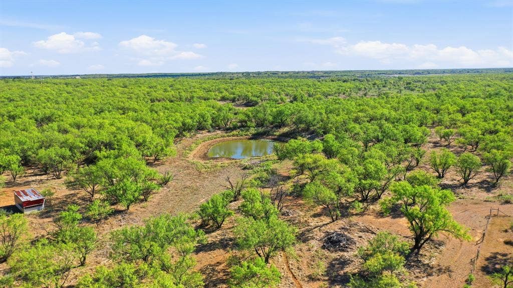 3983 N 183 Highway, Woodson, TX 76491